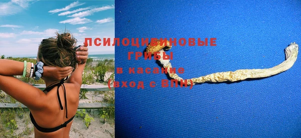 шишки Абдулино