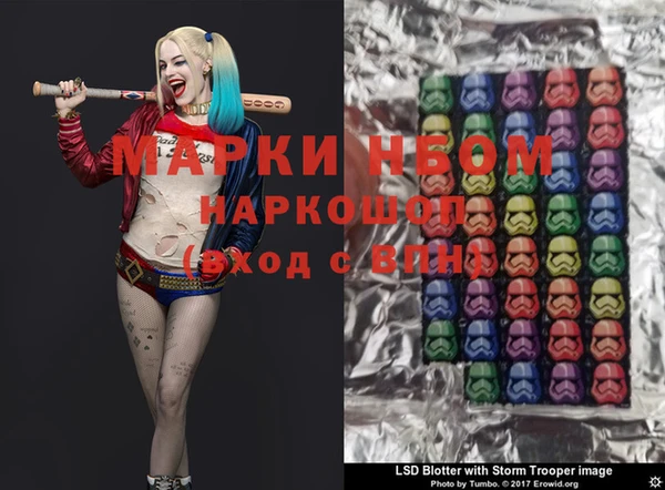 PSILOCYBIN Алзамай