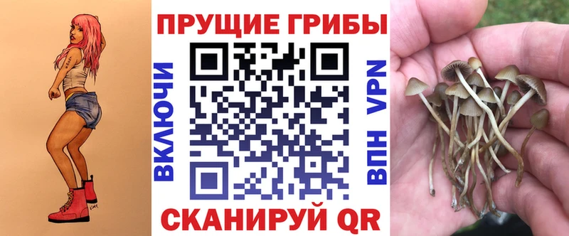 Псилоцибиновые грибы мухоморы  darknet клад  Тюмень 